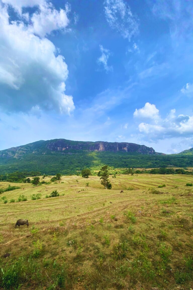 adventurous climb on Manigala rock