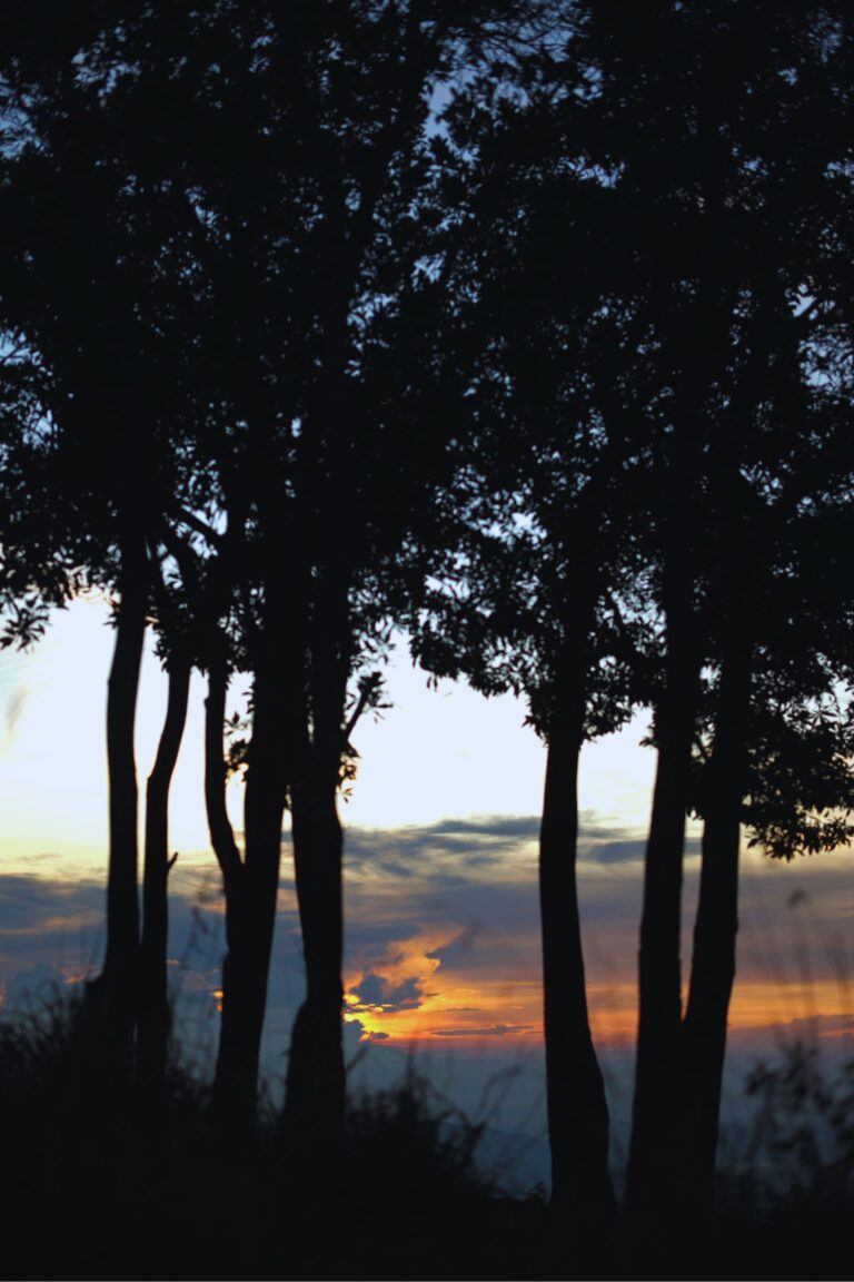Sunrise over Babaragala Pathana mountain range