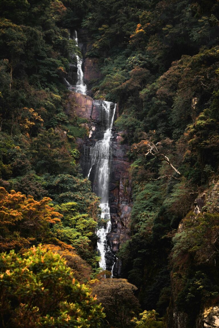 Kolapathana Falls cascading through lush greenery in Sri Lanka