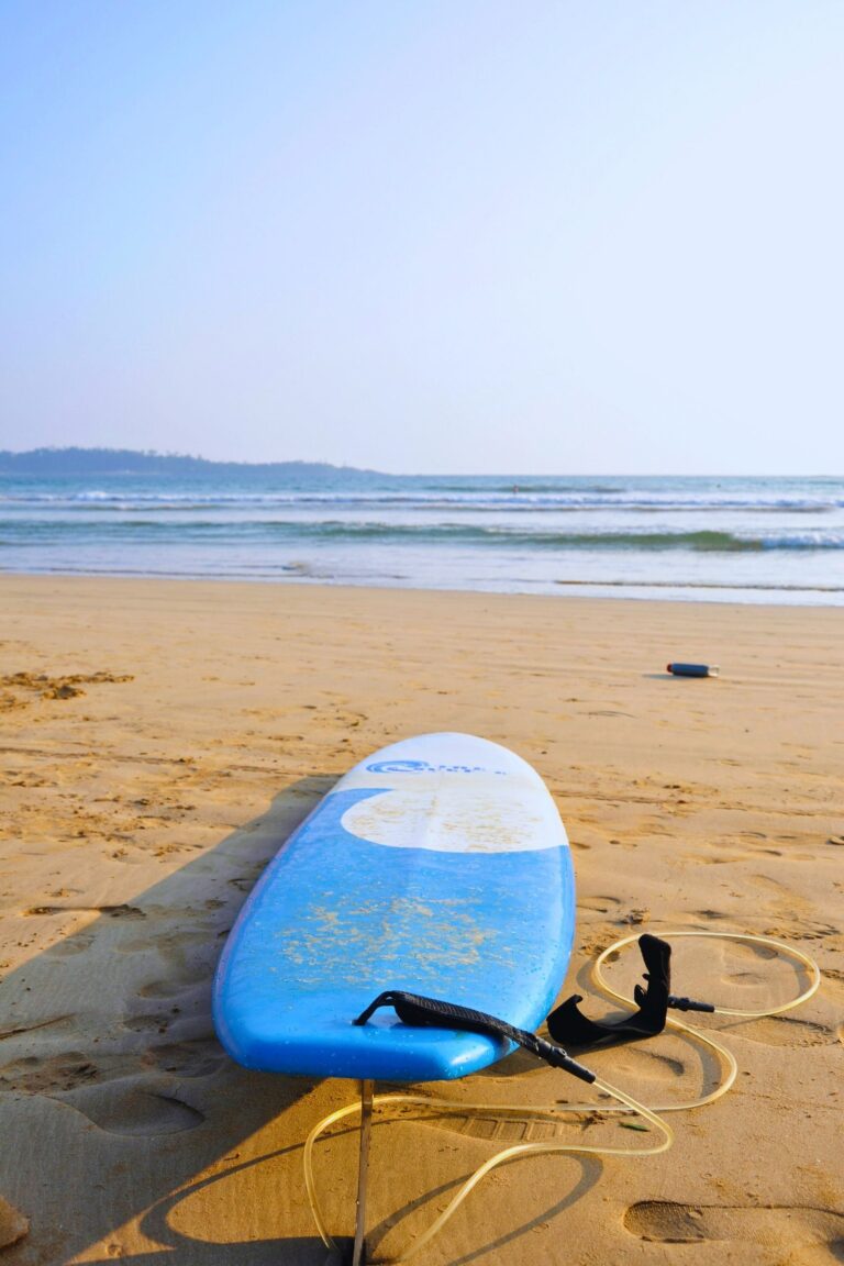 Palm trees lining the sandy shore of Weligama Beach